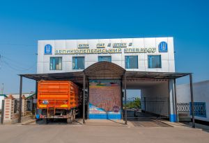 Фото елеватора Великолепетиський елеватор: компанія ДПЗКУ: Херсонська область