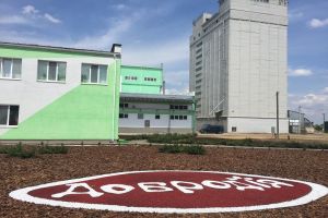 Фото елеватора Добродія Фудз: компанія Agricom Group: Чернігівська область