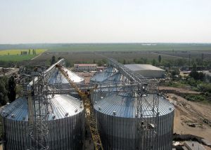 Фото елеватора АПК ДОМ-АГРО: компанія Аграрна Промислова Компанія ДОМ-АГРО: Херсонська область
