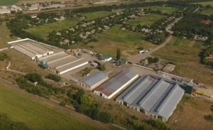 Фото елеватора Прометей Новополтавський елеватор: компанія ГК Прометей: Миколаївська область