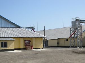 Фото елеватора Роздолля (Грейгівський елеватор): компанія ПАЕК: Миколаївська область