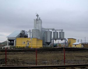 Фото елеватора Новоселицький елеватор ОЕЗ Буковина: компанія Агро Трейдінг: Чернівецька область