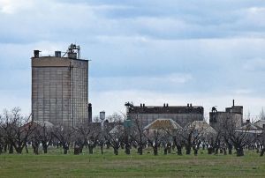 Фото елеватора Рівненський елеватор (Рівне): компанія TESSLAGROUP: Херсонська область