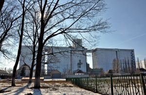 Фото елеватора Білоколодязький елеватор: компанія ДПЗКУ: Харківська область