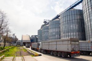 Фото елеватора Дельта Вілмар Україна: компанія Дельта Вілмар Україна: Одеська область
