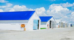 Фото елеватора Арніка (Лан-Агро): компанія Агропромислова група Арніка: Полтавська область