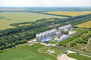 Фото елеватора Філія Мар'янівська НІБУЛОНа: компанія СП НІБУЛОН: Полтавська область