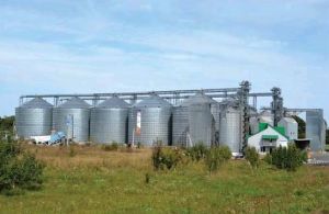 Фото елеватора Контінентал елеватор Деренівка: компанія Контінентал Фармерз Груп: Тернопільська область
