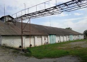 Фото елеватора Заліщицьке ХПП: компанія Заліщицьке хлібоприймальне підприємство: Тернопільська область