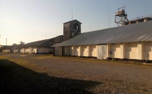 Фото елеватора Вестван: компанія Вестван: Тернопільська область