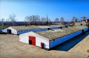 Фото елеватора Крук: компанія КРУК: Сумська область
