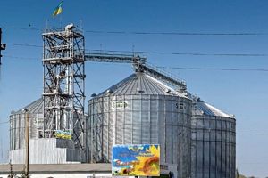 Фото елеватора Агропромислова компанія ім. О. В. Гіталова: компанія Агрофірма Авангард ЛТД: Кіровоградська область