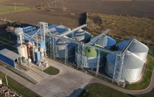Фото елеватора Красногірський олійний завод (КРОЗ): компанія Красногірське: Черкаська область