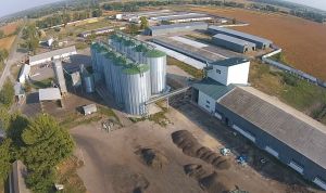 Фото елеватора Агрофірма Маяк (Піщане): компанія СТОВ Агрофірма Маяк: Черкаська область