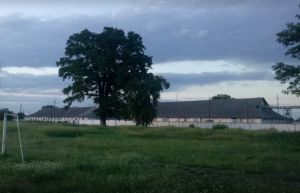 Фото елеватора Юсківське ХПП: компанія : Полтавська область