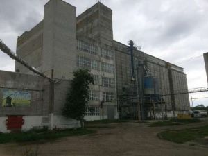 Фото елеватора Ньюсфера (Шосткинське борошномельне підприємство): компанія Ньюсфера: Сумська область