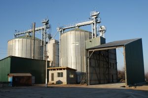 Фото елеватора Перемога: компанія ПСП Перемога: Кіровоградська область