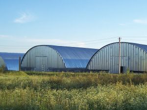 Фото елеватора Агрофірма Сильченкове: компанія Агрофірма Сильченкове: Чернігівська область